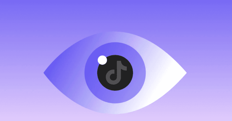 Best Private TikTok Viewers private tiktok viewer
