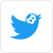 twitter-icon