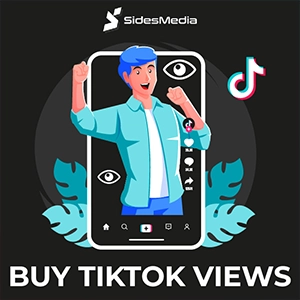 Purchasing TikTok Video Views