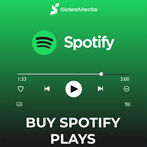 Purchase Organic Spotify Plays