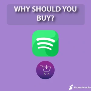 Why Should You Buy Spotify Playlist Followers