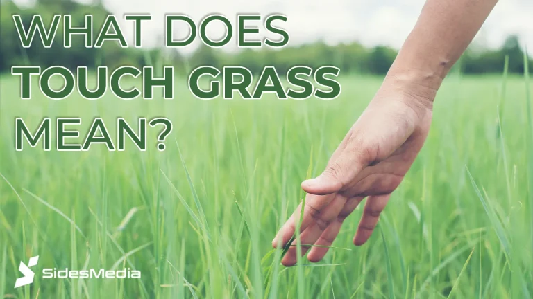 What Does Touch Grass Mean?