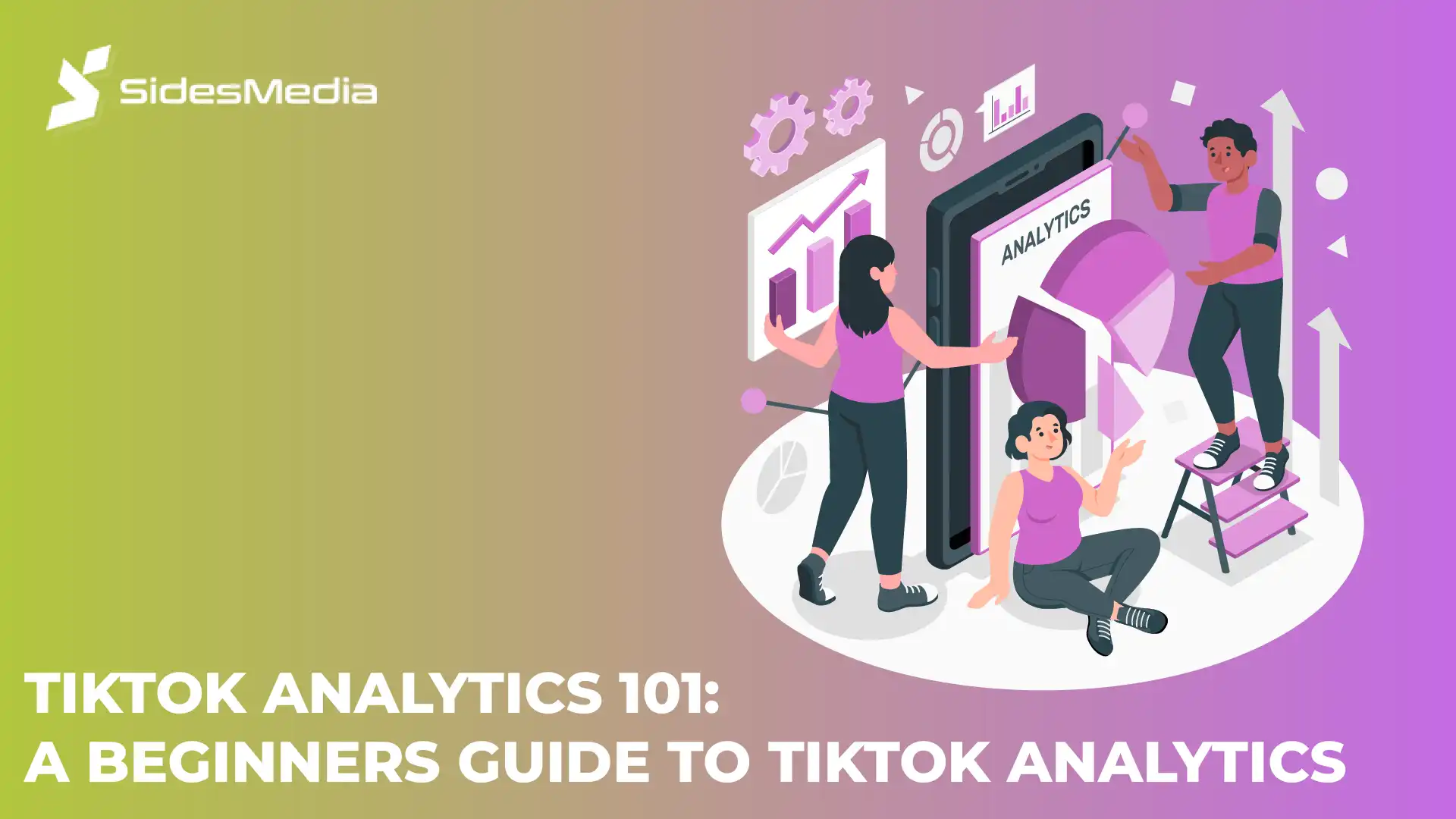 TikTok Analytics 101: A Beginners Guide To TikTok Analytics