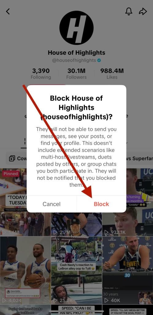 How to Block Someone on TikTok in 4 Easy Steps confirm tiktok block