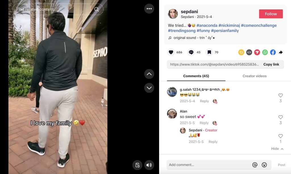 tiktok hashtag challenges