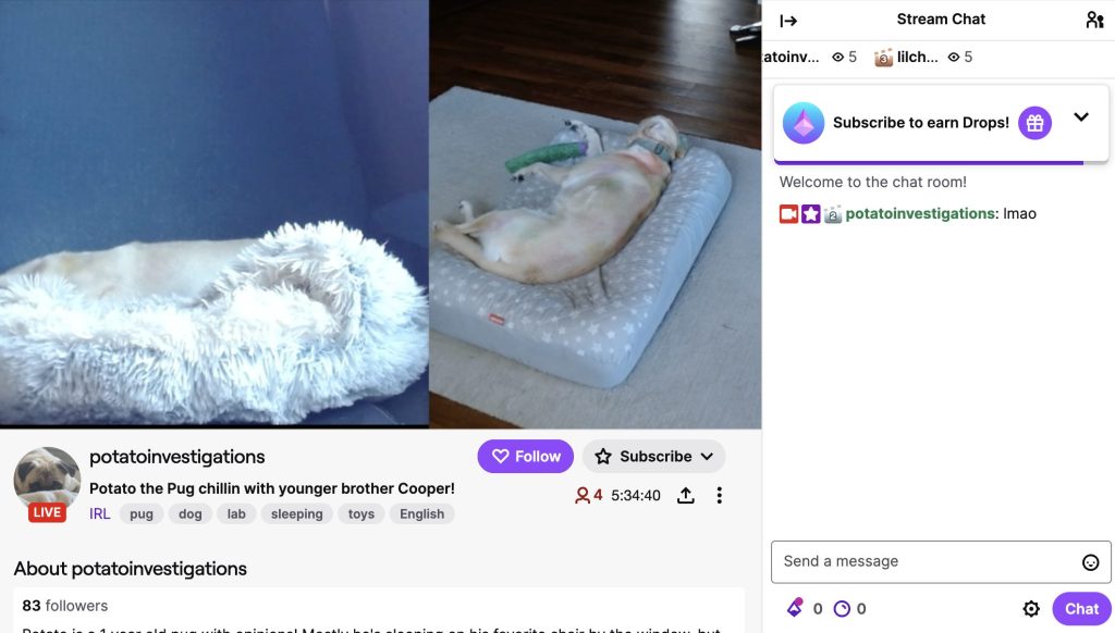 15 Fun Twitch Stream Ideas to Grow Your Audience twitch livestream ideas